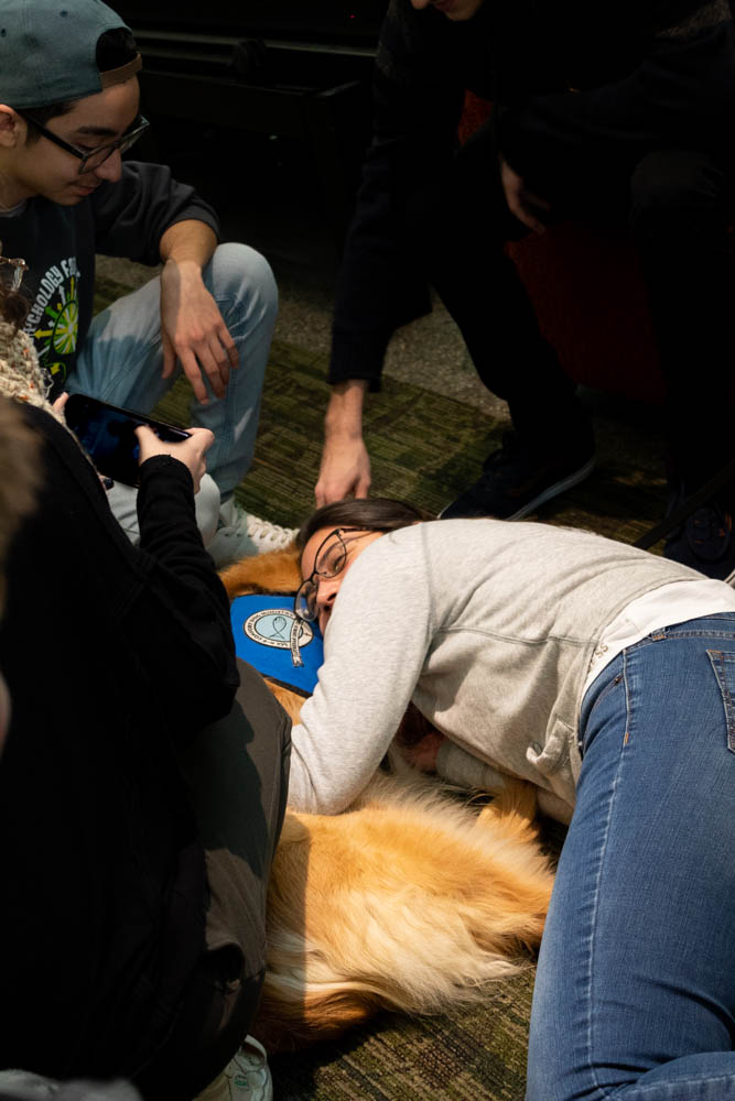 Chloe, the therapy dog, makes an appearance for this semester's Stress-Free Zone