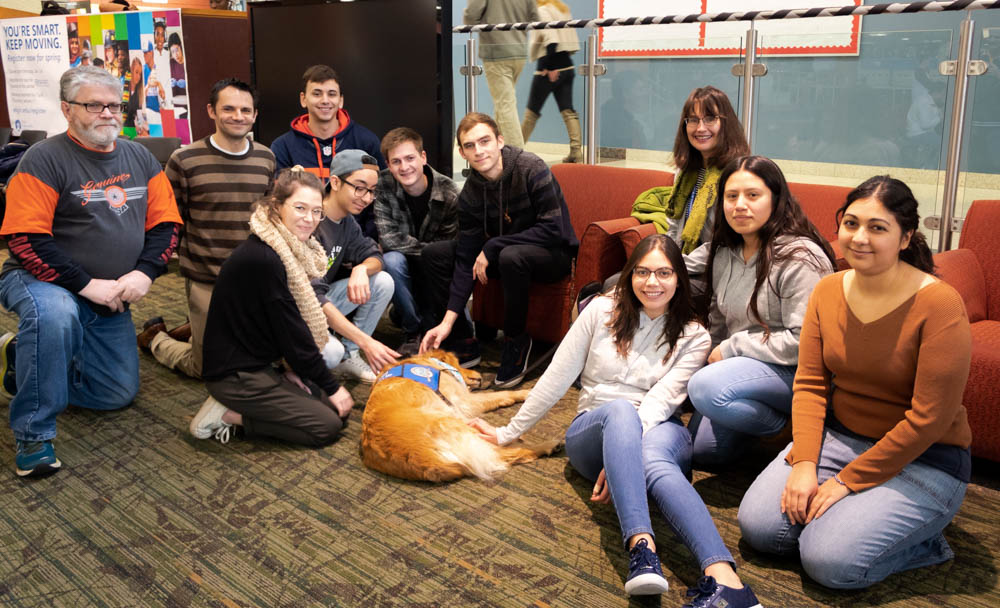 Chloe, the therapy dog, makes an appearance for this semester's Stress-Free Zone