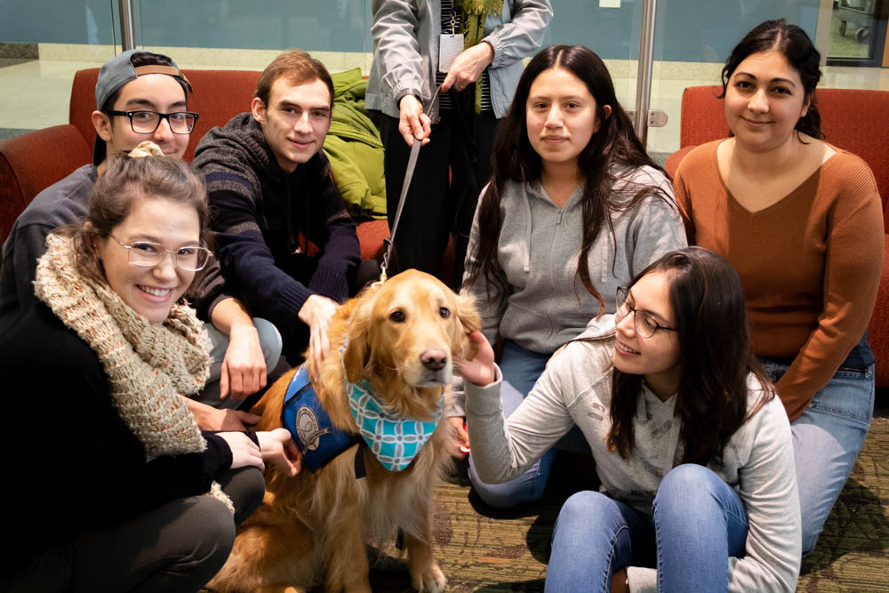 Chloe, the therapy dog, makes an appearance for this semester's Stress-Free Zone