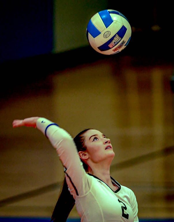 Lady Spartan Volleyball vs Lake County