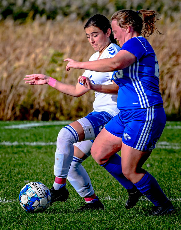 Lady Spartan soccer team heads to division semifinals with 3-0 win over Harper College.