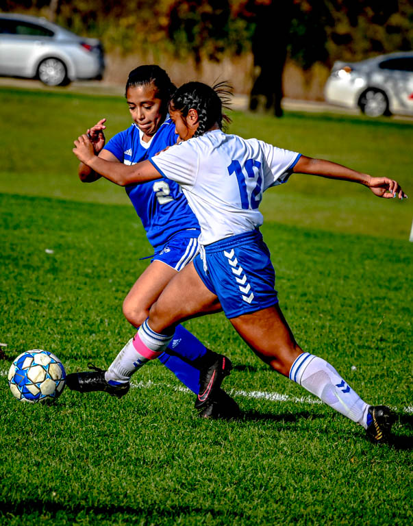 Lady Spartan soccer team heads to division semifinals with 3-0 win over Harper College.