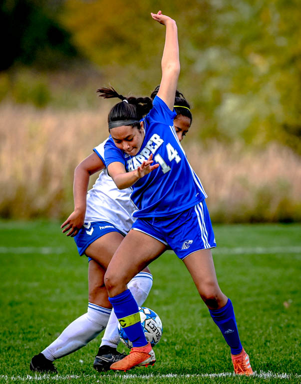 Lady Spartan soccer team heads to division semifinals with 3-0 win over Harper College.