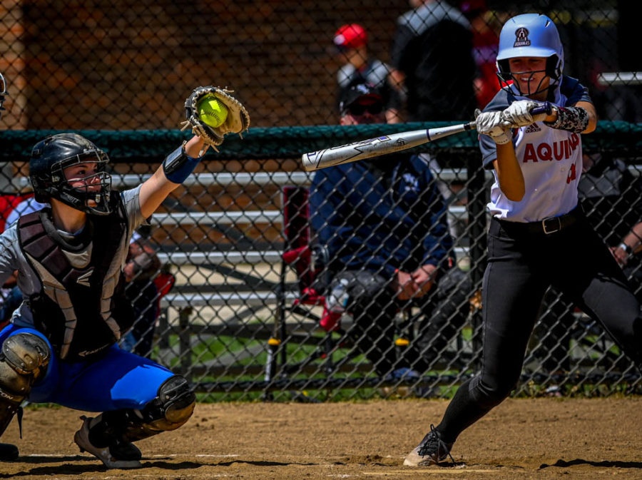 The softball team defeated Aquinas College (Grand Rapids MI) 11-10 on May 1. The Lady Spartans finished the season with a 9-13 record. 