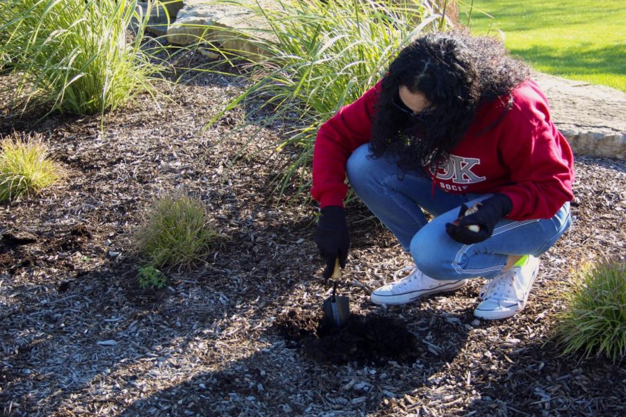 A student plants a bulb outside of Building B. Plant A Bulb Day, which took place on Oct. 20, was part of Make a Difference Week. The event was sponsored by Student Life, Phi Theta Kappa and ECC Grounds Team.