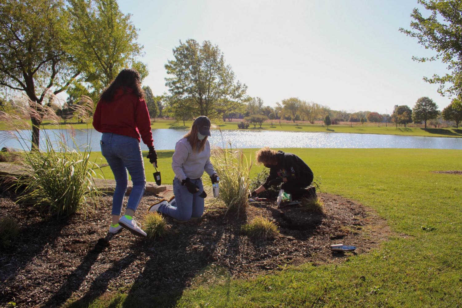 Photos from Plant A Bulb Day