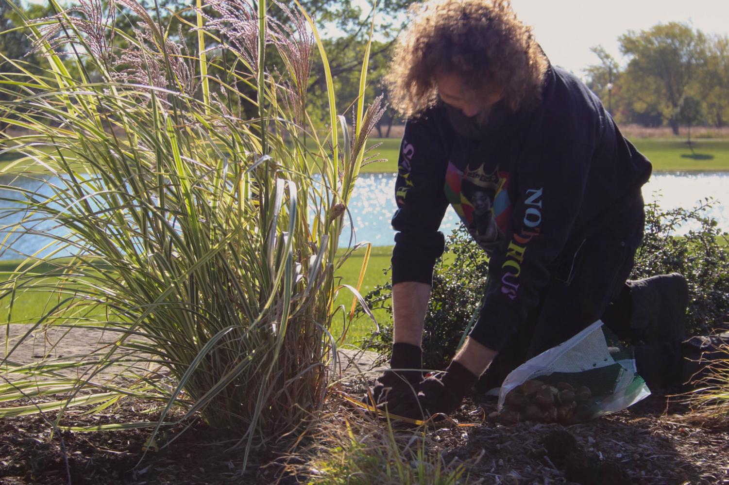 Photos from Plant A Bulb Day