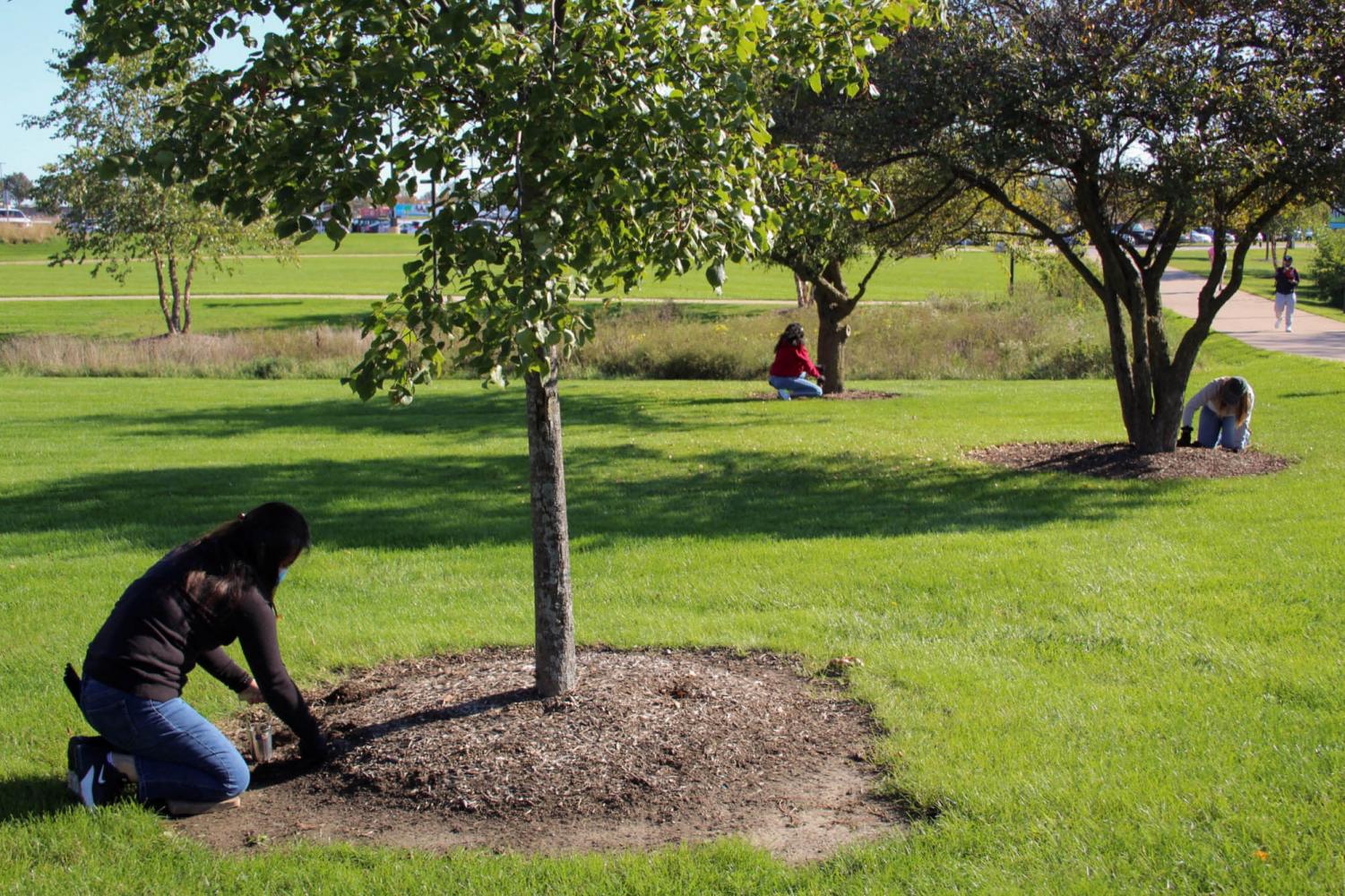 Photos from Plant A Bulb Day