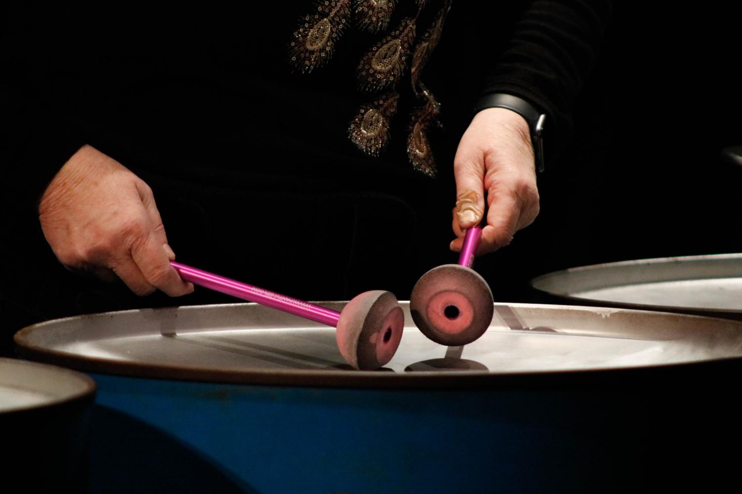 Elgin Community College Steel Band performs "Steel Some Fun" winter concert