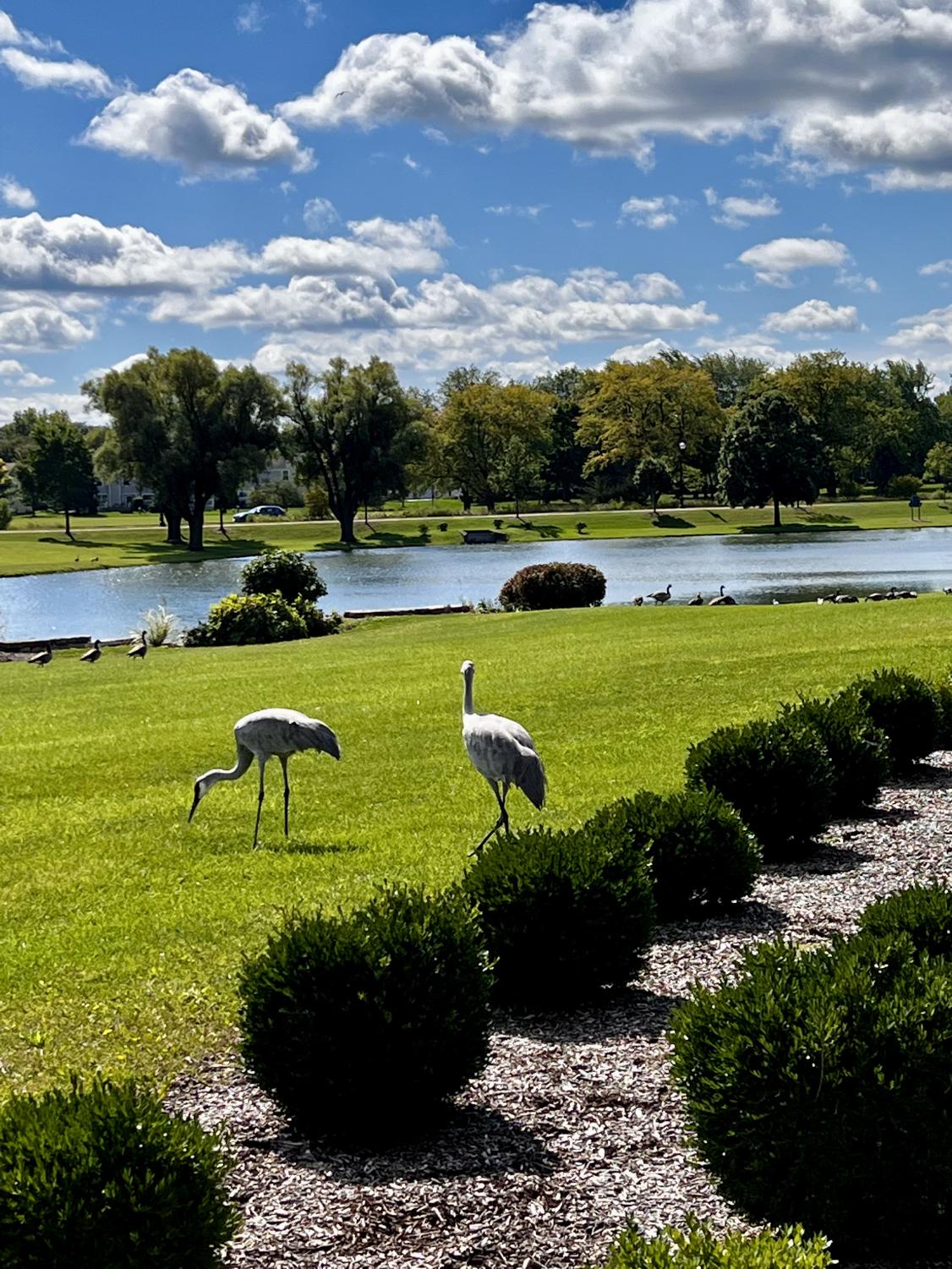 Photos: Nature around ECC's campus