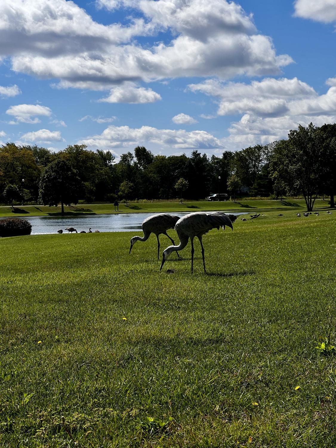 Photos: Nature around ECC's campus