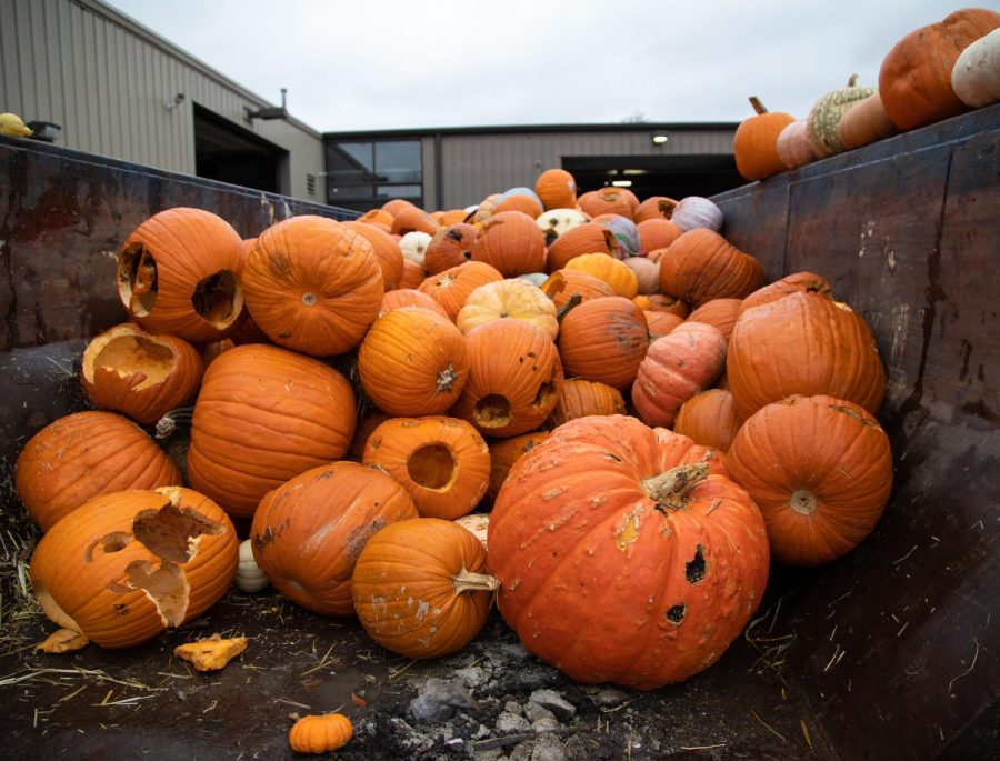 Pumpkins await composting in a dumpster during the Green Your Halloween pumpkin composting event at the St. Charles Public Works Facility on Saturday Nov. 5, 2022.  