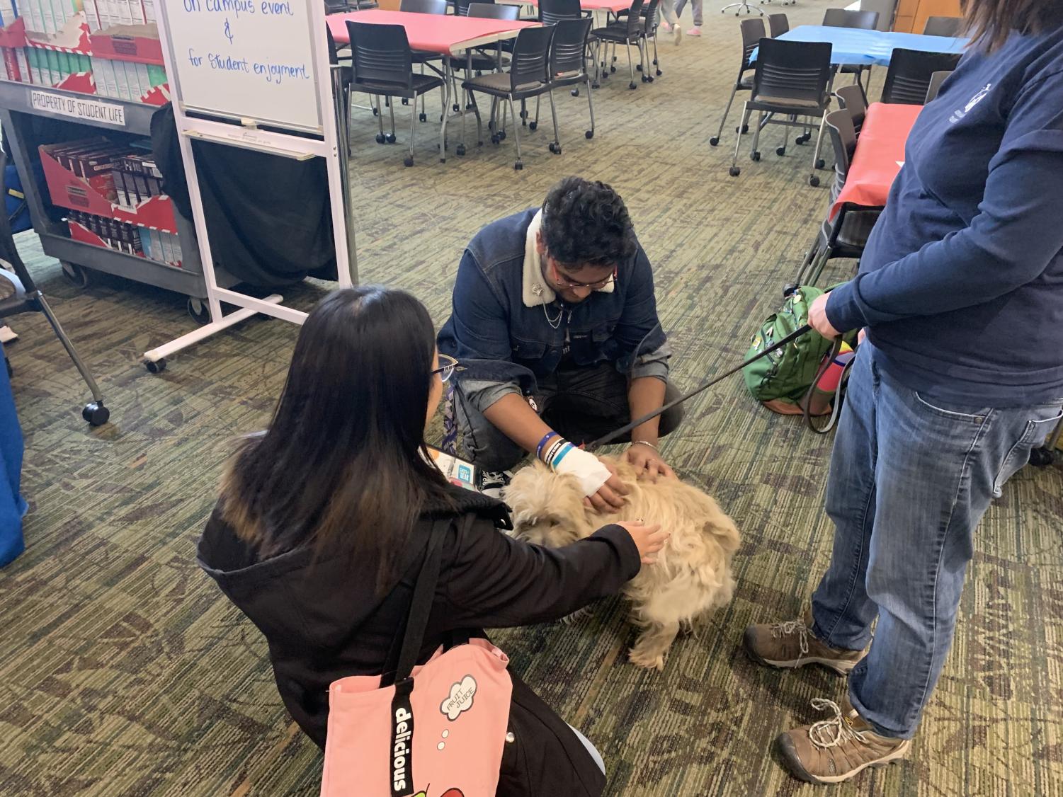 Photos: Elgin Community College's Office of Student Life sponsors a Stress Free Zone