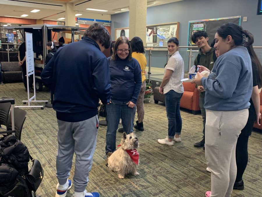 Meet Cody, a 5 year old Cairn Terrier looking to receive a treat from a student. Cody is a therapy dog that attended the event alongside Loni Ryan from Anderson Humane.