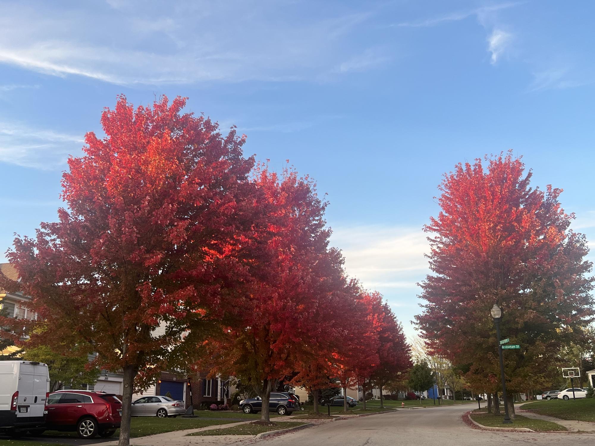 Photos: autumn foliage reaches its peak colors across the Elgin area