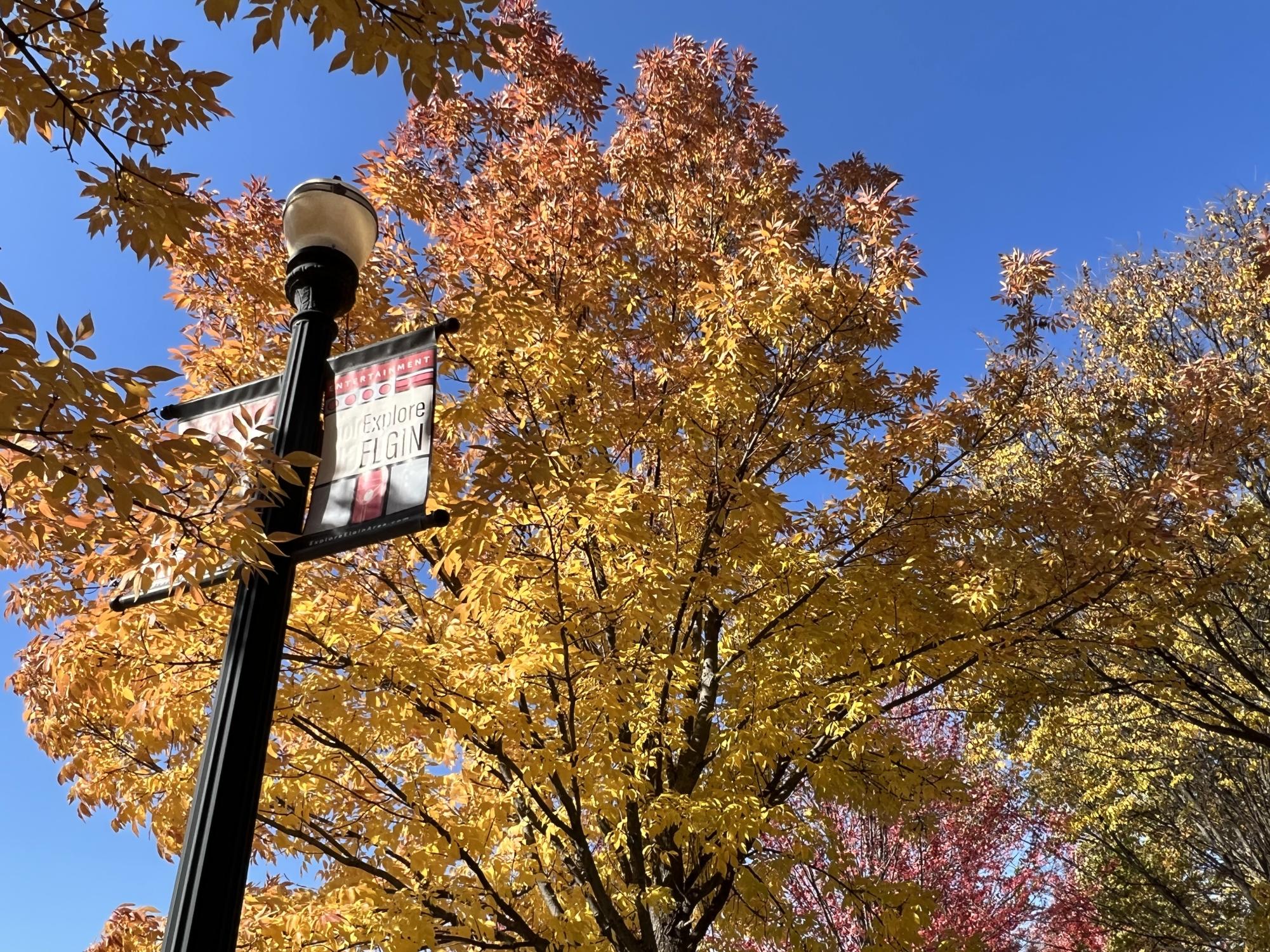 Photos: autumn foliage reaches its peak colors across the Elgin area