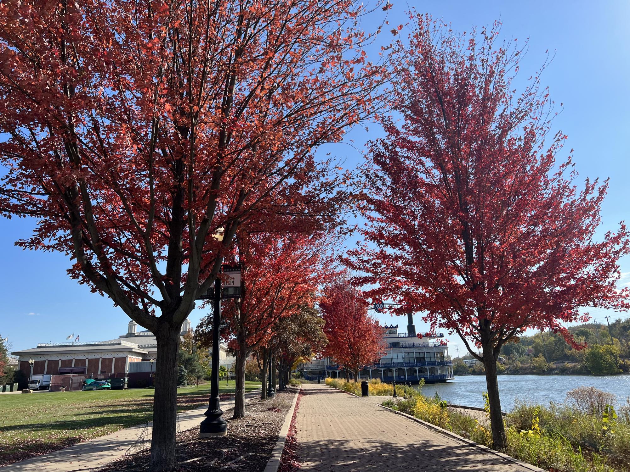 Photos: autumn foliage reaches its peak colors across the Elgin area