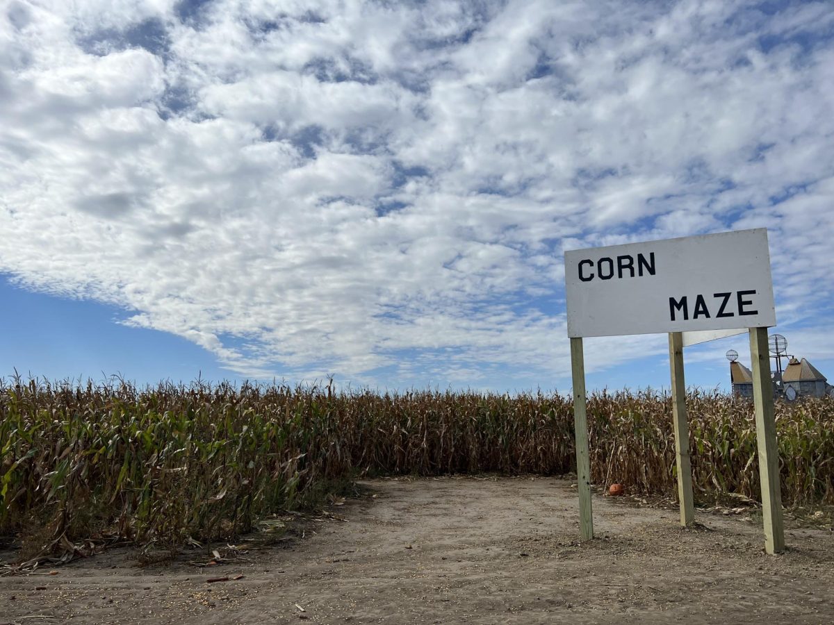 The entrance to the corn maze at Goebberts Farm in Pingree Grove, IL on Oct. 10, 2023.