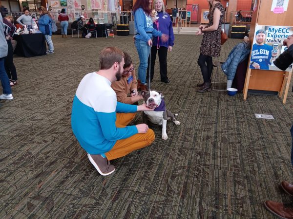 Faculty pet one of therapy dogs at Stress-Free Zen Zone event in the Jobe lounge on Dec. 6 2023 