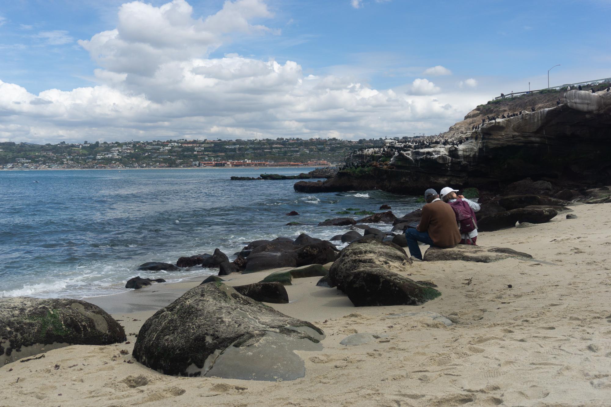 Photos: Sea Lions at La Jolla Beach