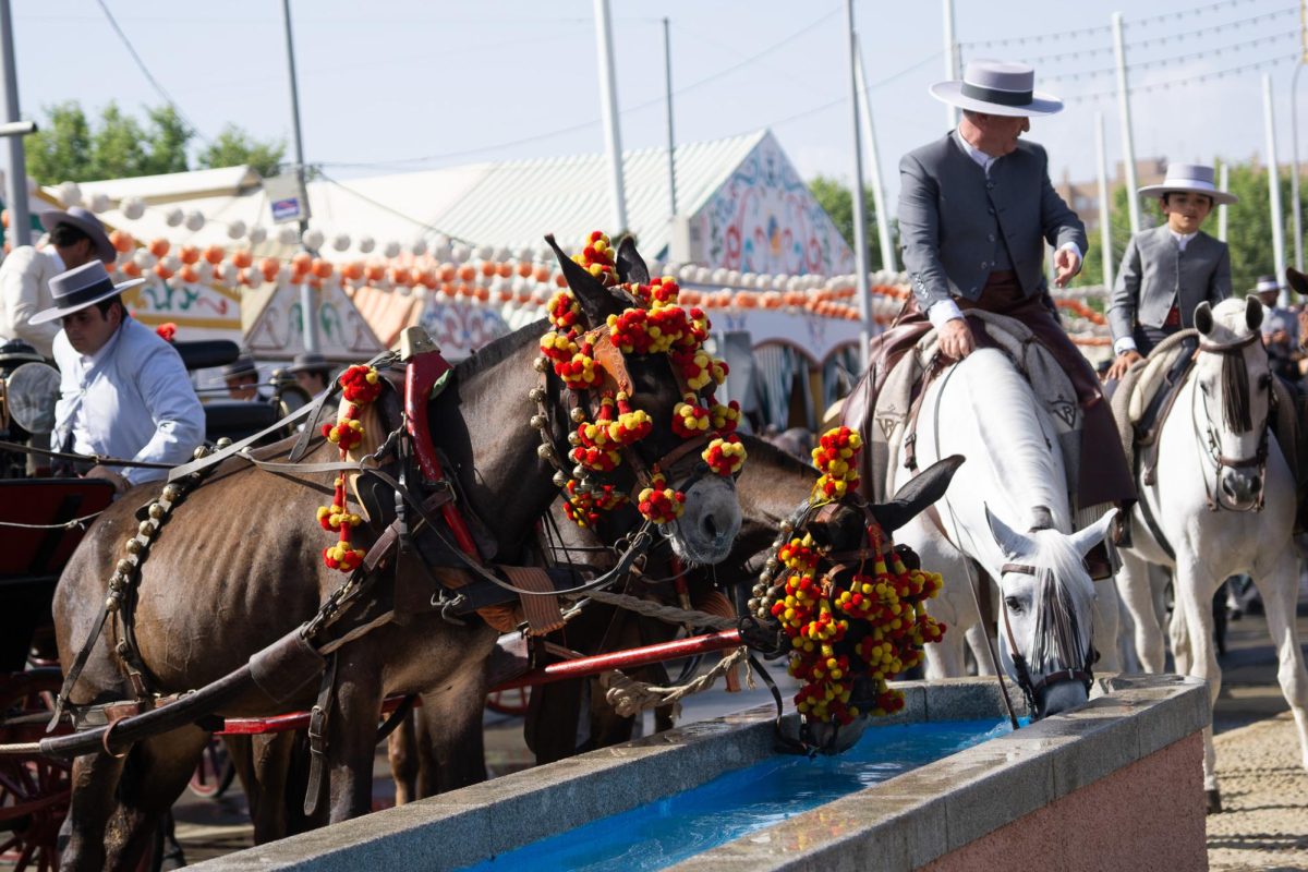 Horses drink water on the side streets at la Feria de Abril in Seville, Spain. 