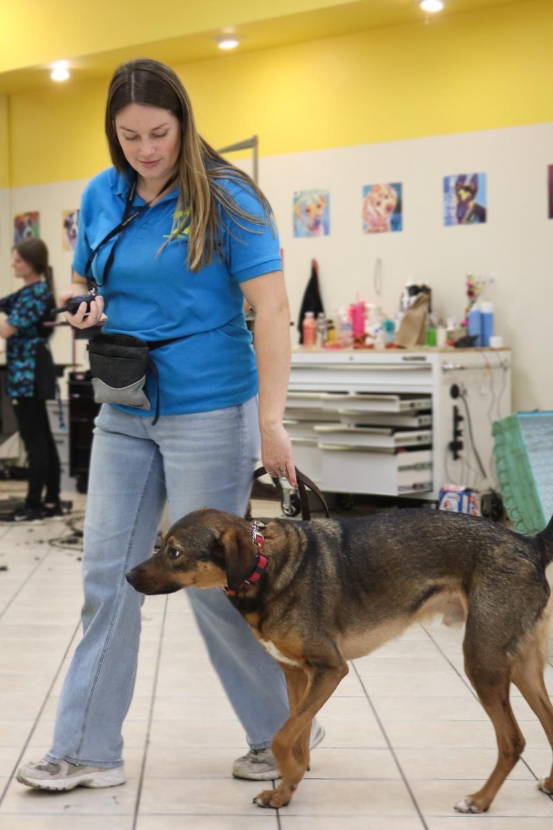 Canine Behavioral Instructor, Jordan Buck, working with her personal dog, Noah, at Woofbeach Sands Grooming and Dog Training Center on September 19, 2025.