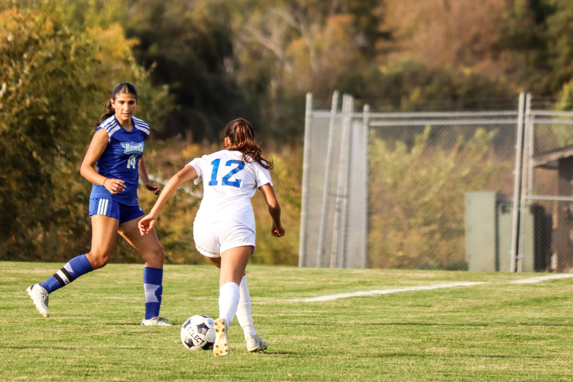 Women's Soccer contends with Harper College