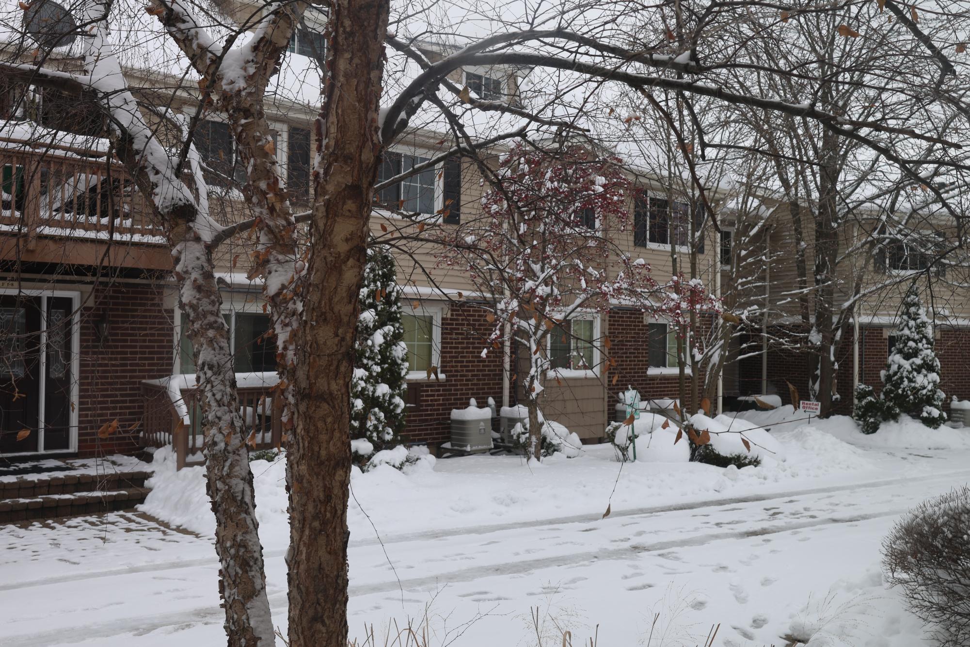 Students share their thoughts on the recent record snowfall