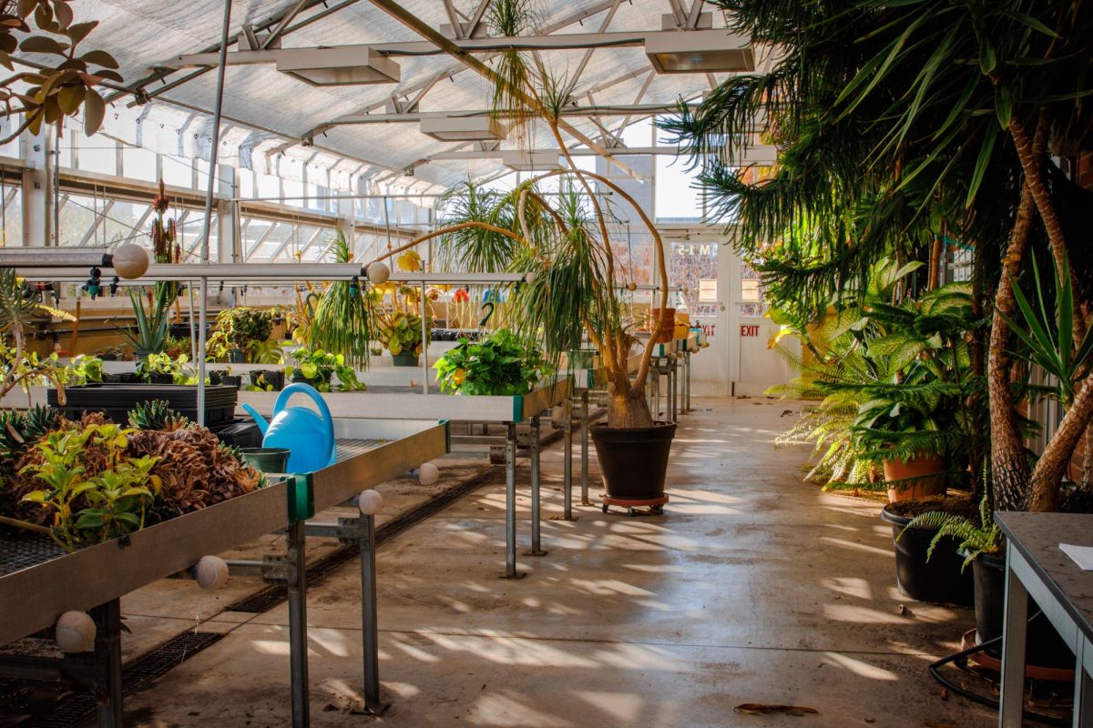 Inside ECC’s greenhouse, a variety of plants show the space’s potential and the hands on learning oopportunities students will have once the cleanup is complete.