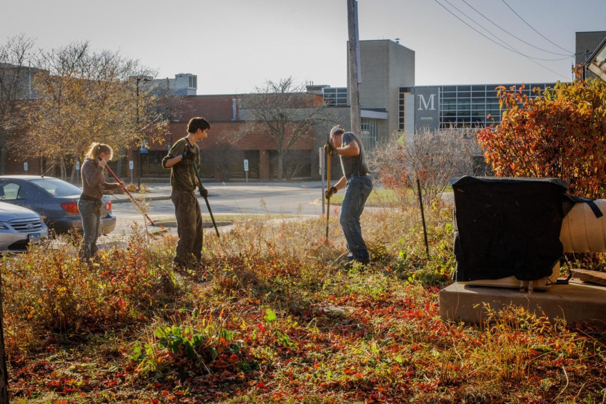 Frederick Vogt and two students rake up the remaining leaves and shrubs outside the greenhouse, working together to finish the cleanup. 