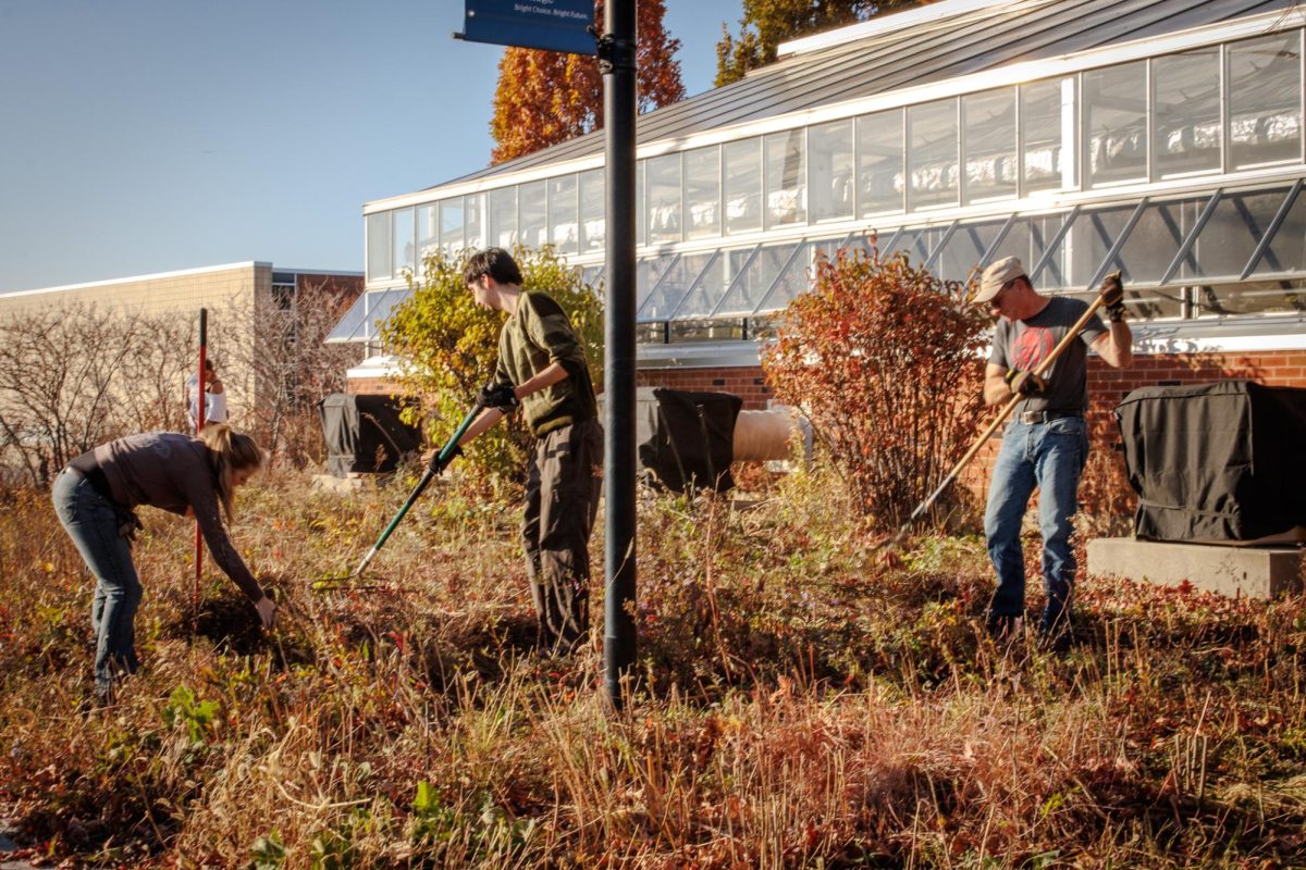 Frederick Vogt and two students rake up the remaining leaves and shrubs outside the greenhouse, working together to finish the cleanup