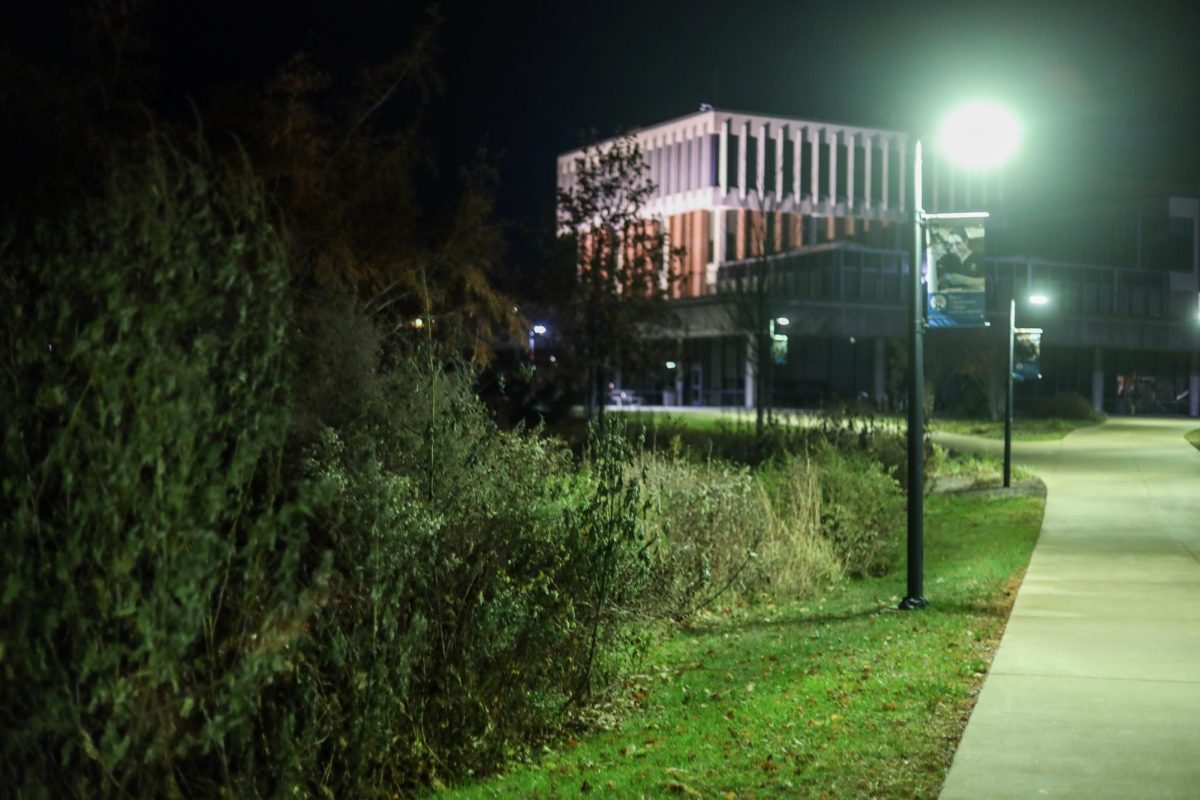 Prairie plants leading down to Building B at Elgin Community College on Thursday Nov. 13, 2025
