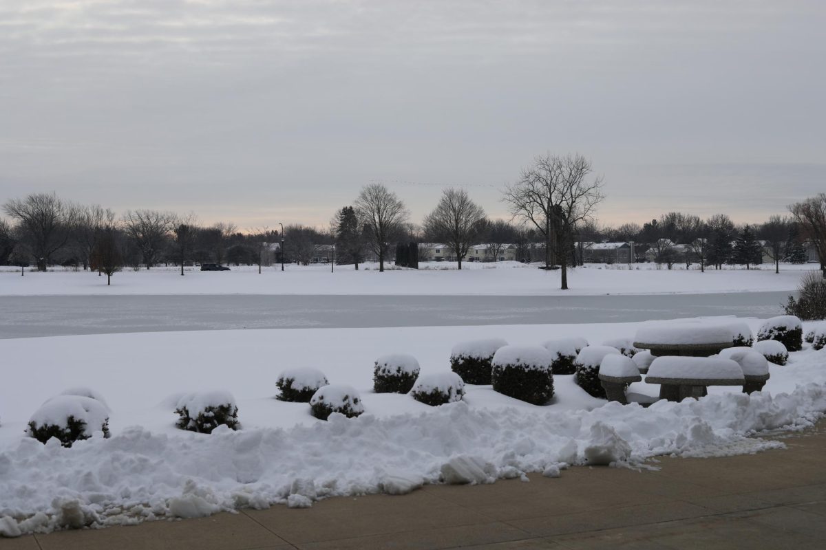 Frozen Lake
