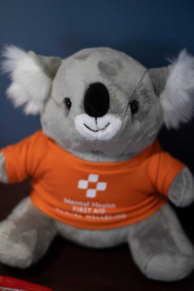 Here we have Mr.Simpsons “ECC’s mental health bear”. A sense of Community & Clarity are important, which Mr Simpson says ECC does offer if you seek it.
